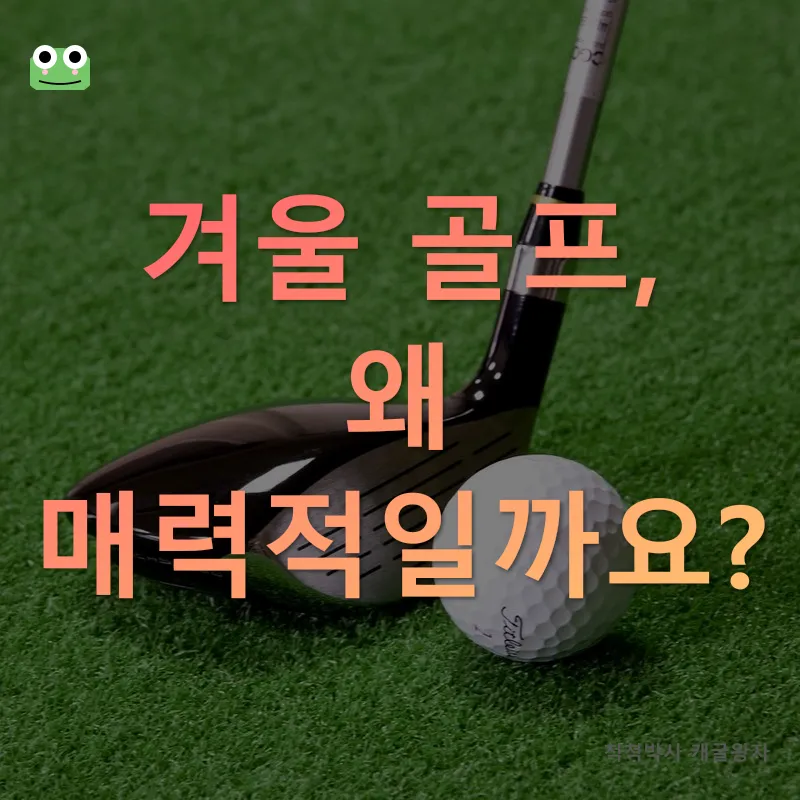 겨울골프