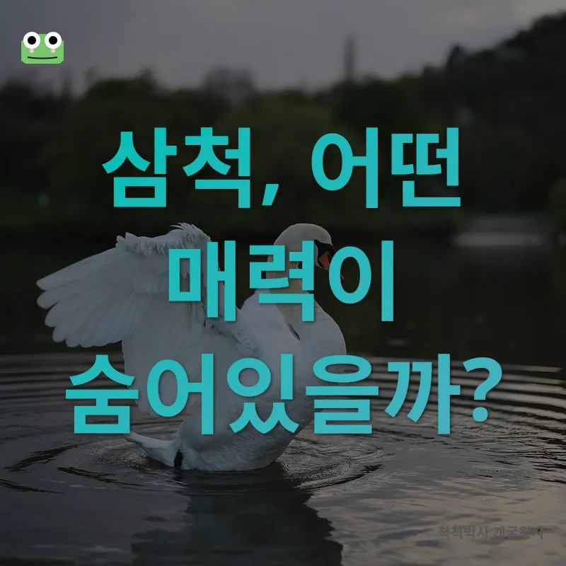 삼척 여행