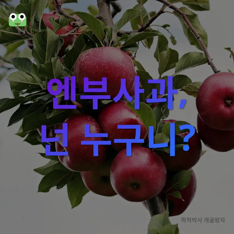 엔부사과