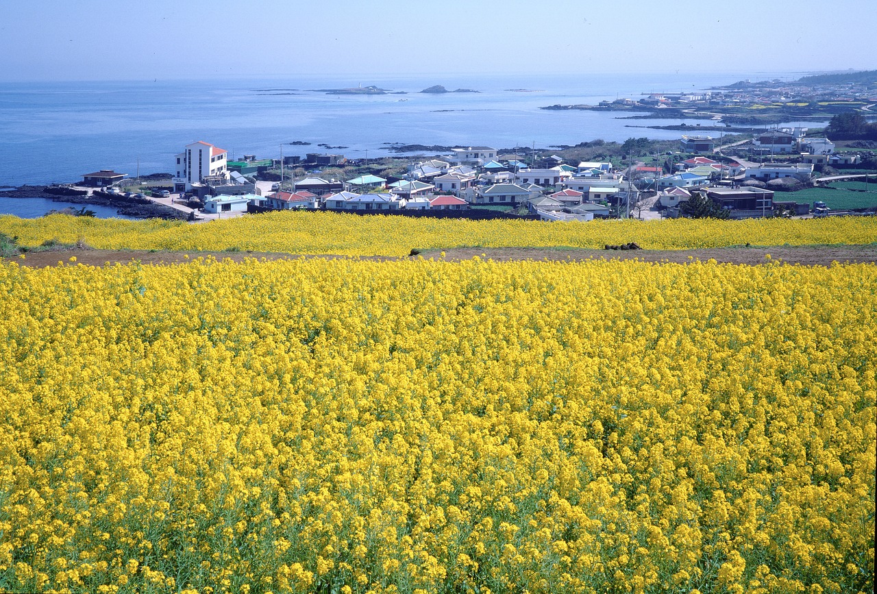 Image 제주도 가족여행