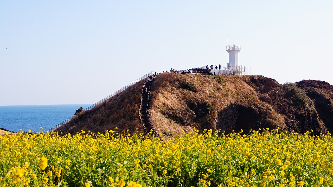 Image 제주도 가족여행