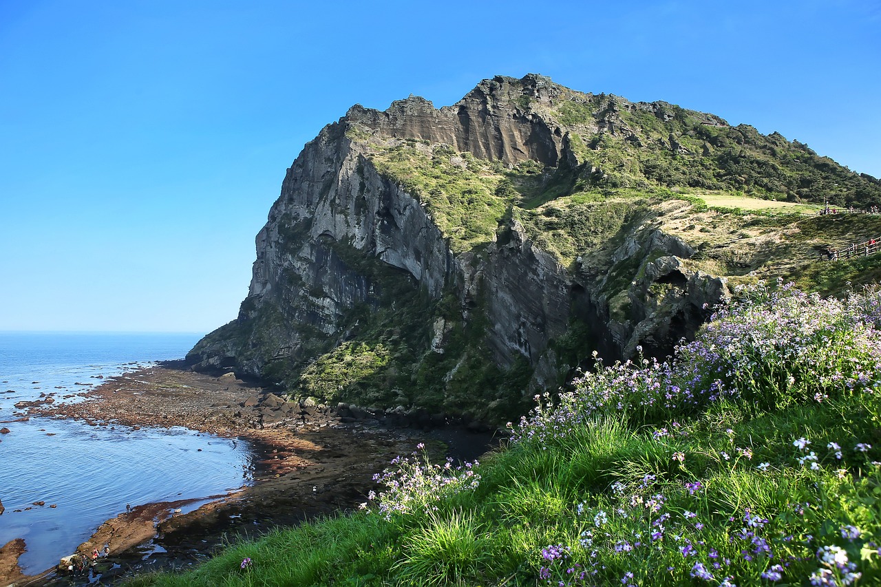 Image 제주도 가족여행