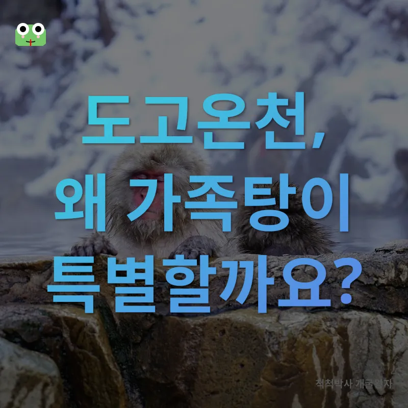 도고온천 가족탕