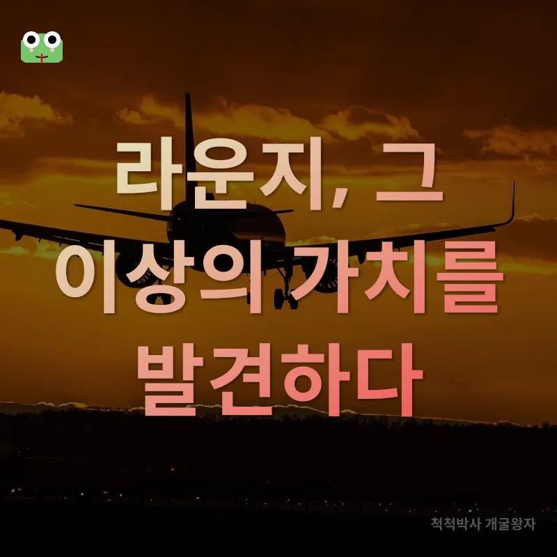 공항 라운지 활용