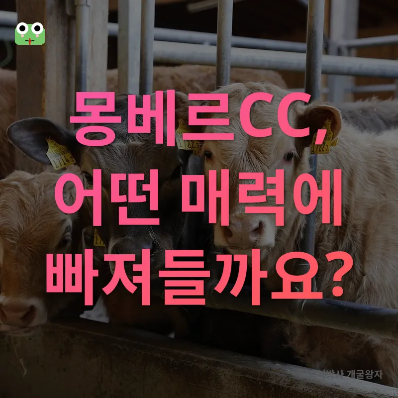 몽베르CC 공략