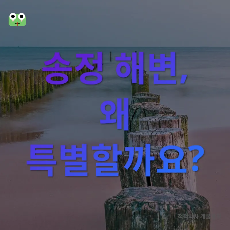 송정 해변 호캉스