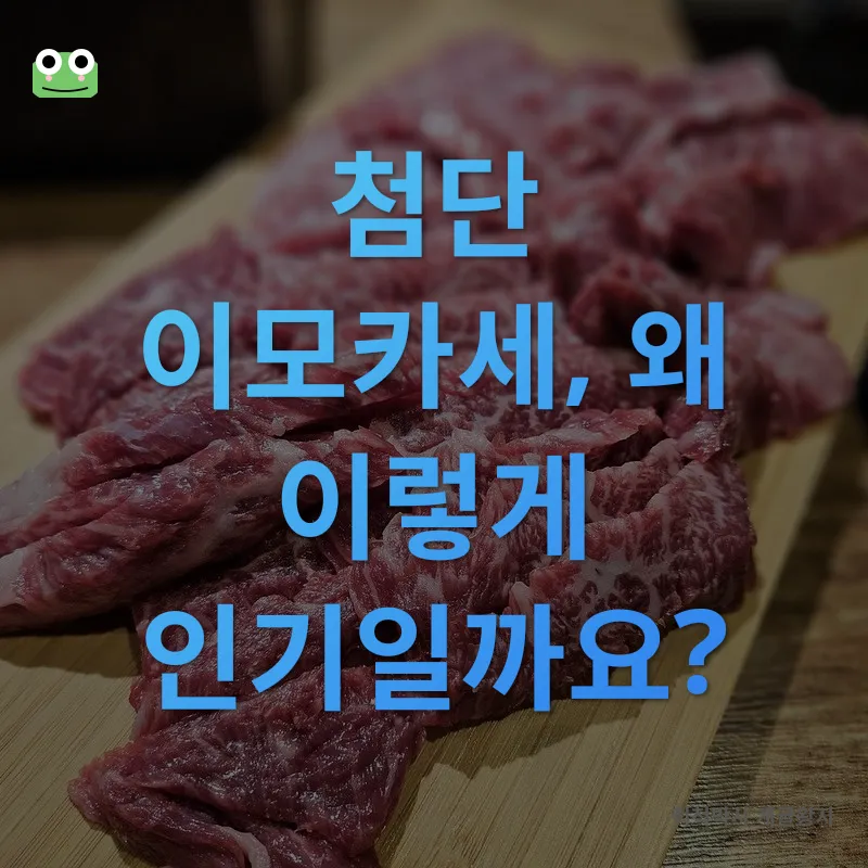 첨단 이모카세