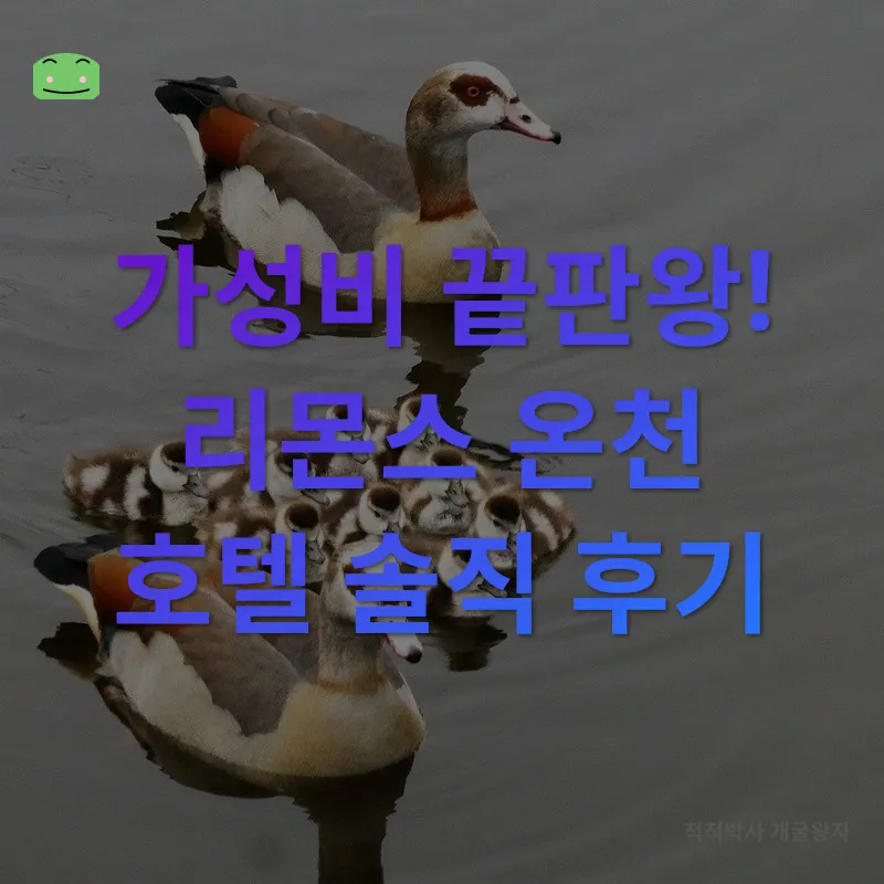 가족 온천 여행