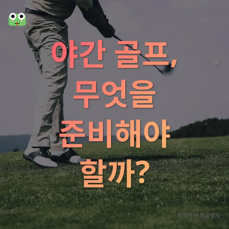 야간 골프