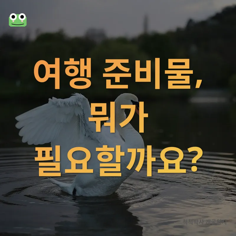 애견 동반 여행