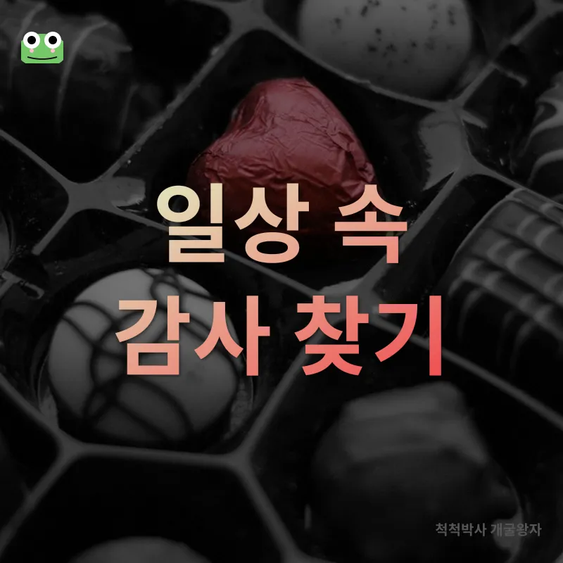 감사 표현