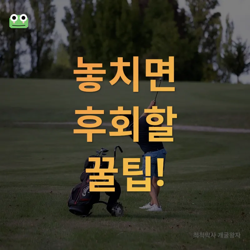 파3 골프장