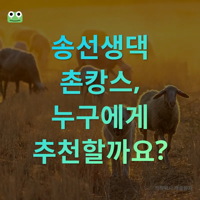 촌캉스 숙소