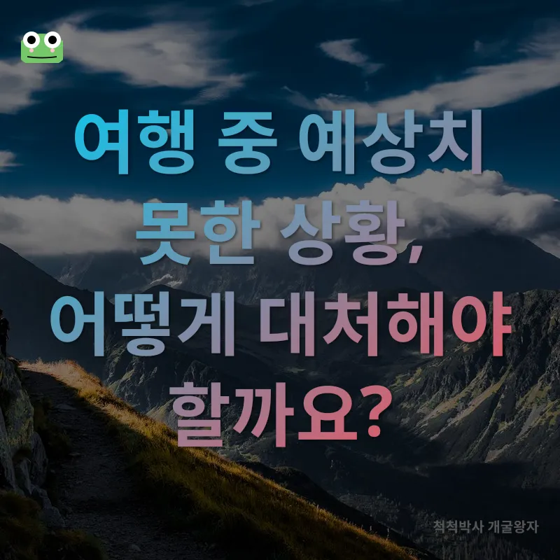 애견 동반 여행