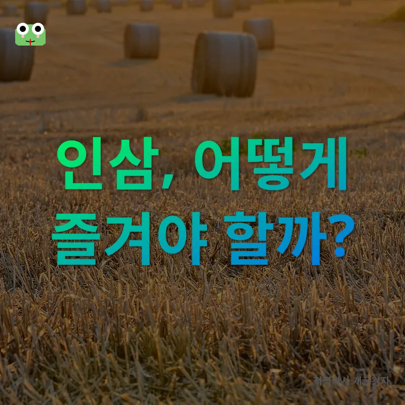 파주개성인삼축제