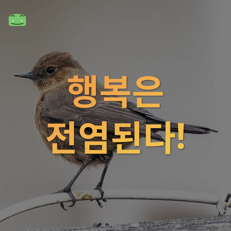 소소한 행복