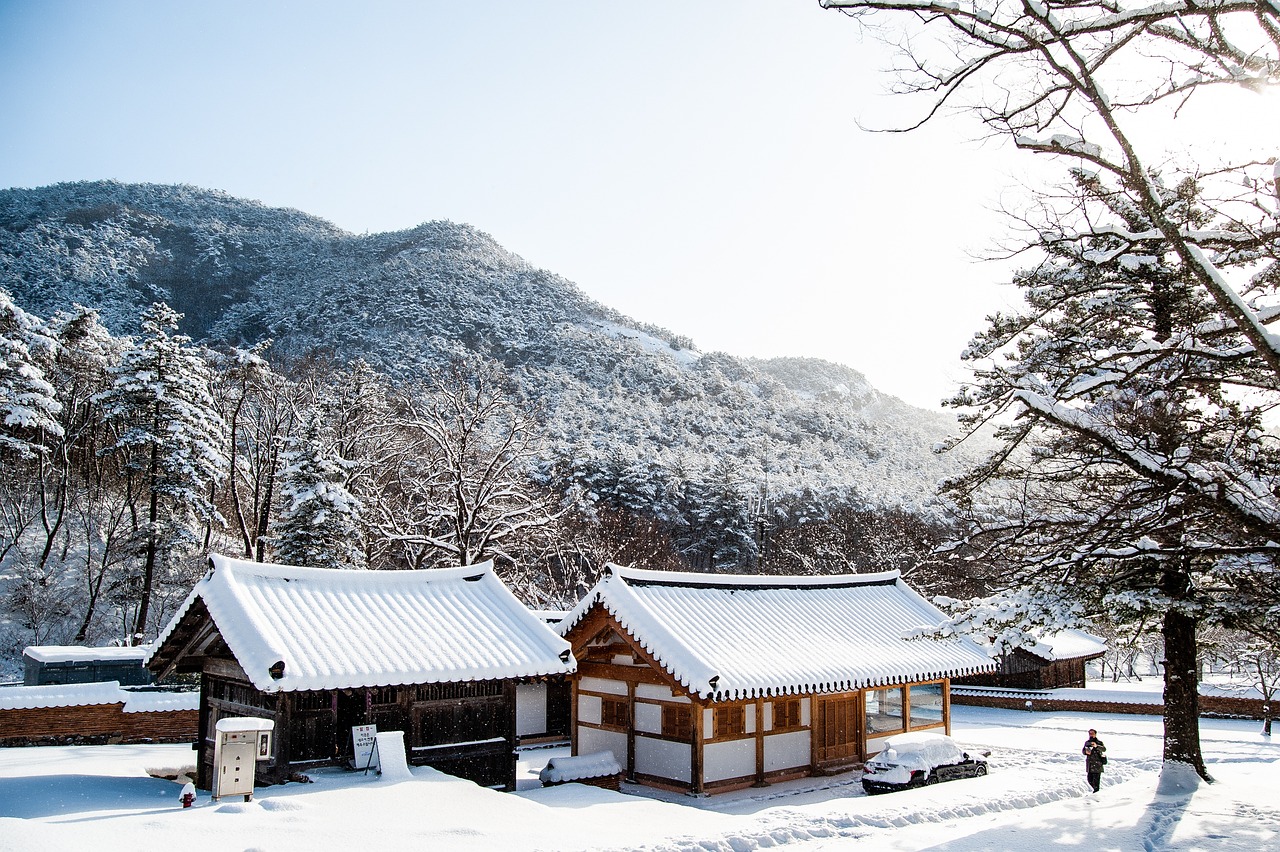 Image 제주 한옥 숙소