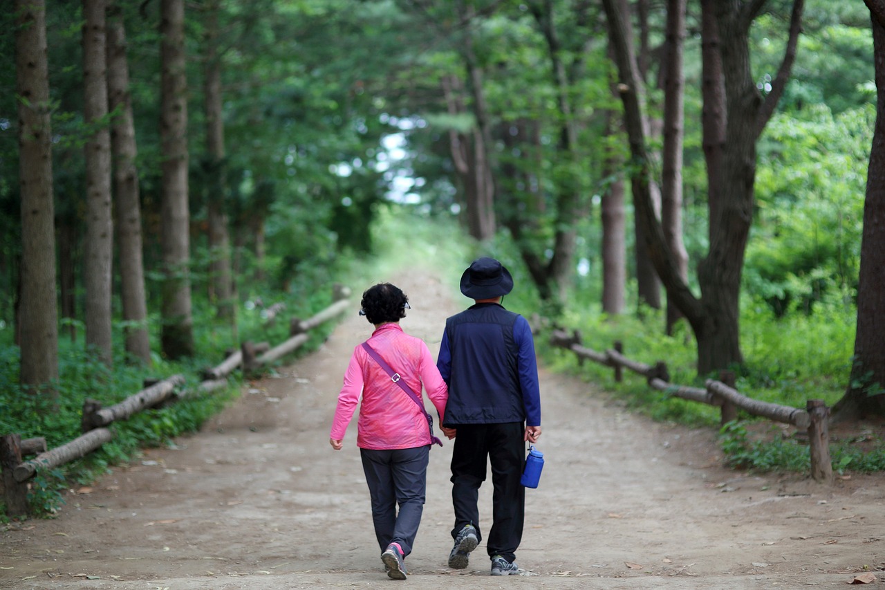 Image 남이섬 여행